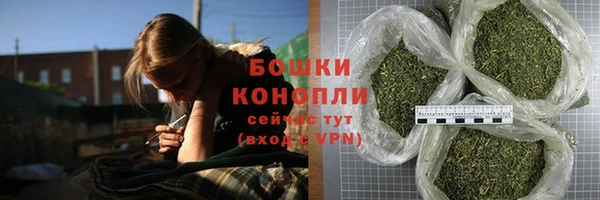 стаф Богданович