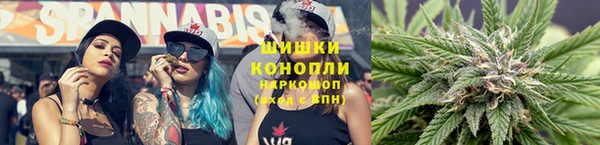 СК Белокуриха