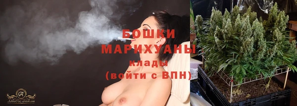 гидра Богородицк