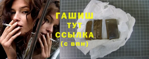 гидра Богородицк
