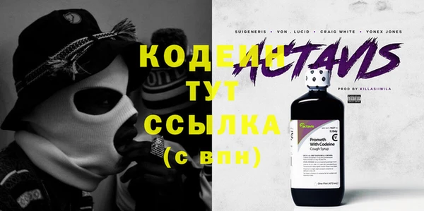 гидра Богородицк