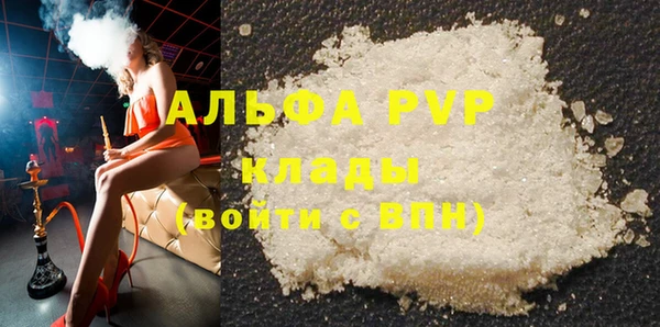 СК Белокуриха