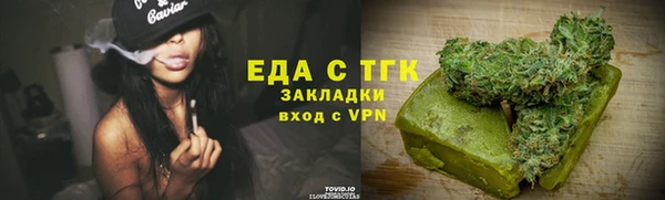 гидра Богородицк