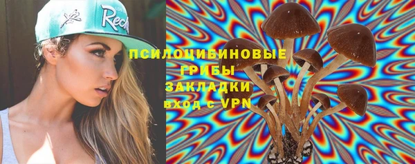 СК Белокуриха