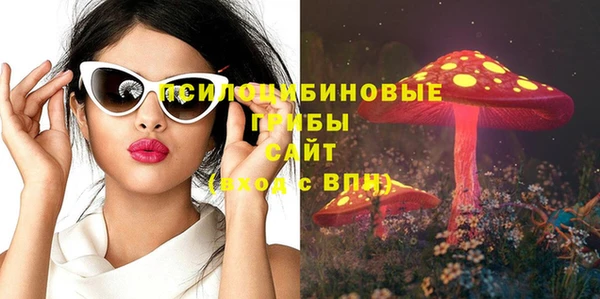 гидра Богородицк