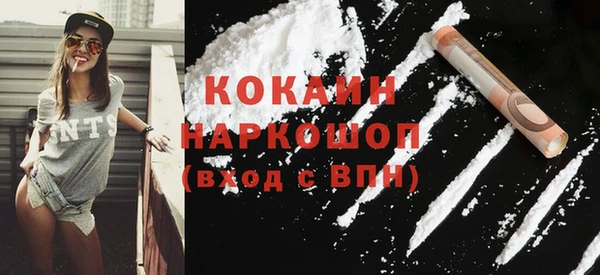 стаф Богданович