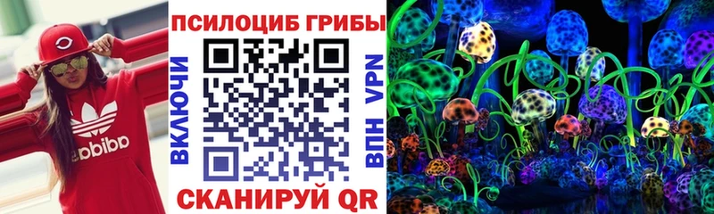 Галлюциногенные грибы Psilocybine cubensis мега рабочий сайт Верещагино дарнет шоп